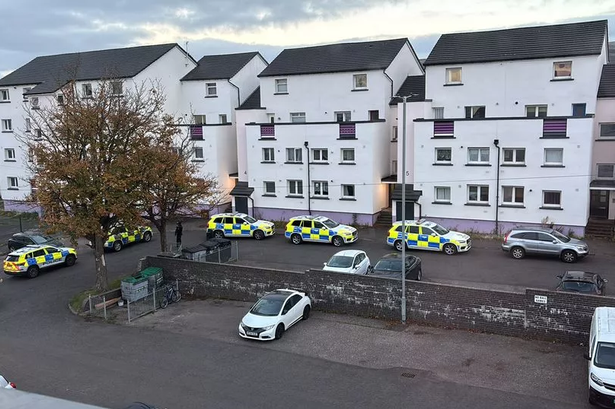 Multiple police vehicles were parked on the street