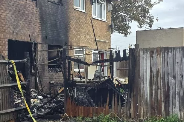 That house's garden was completely burnt out too