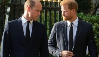 Prince Harry and William could be brought back together thanks to this one thing