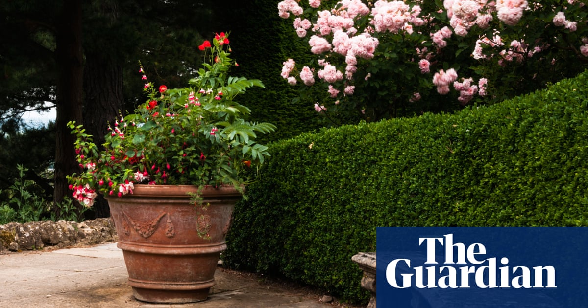 Nearly half of UK garden space is paved over, RHS study finds | Environment