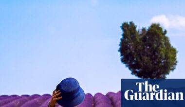 Holiday horrors: Airbnb and Booking.com users battle for refunds as stays go wrong | Consumer rights