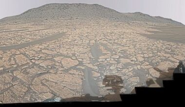 Clearest sign yet of life on Mars