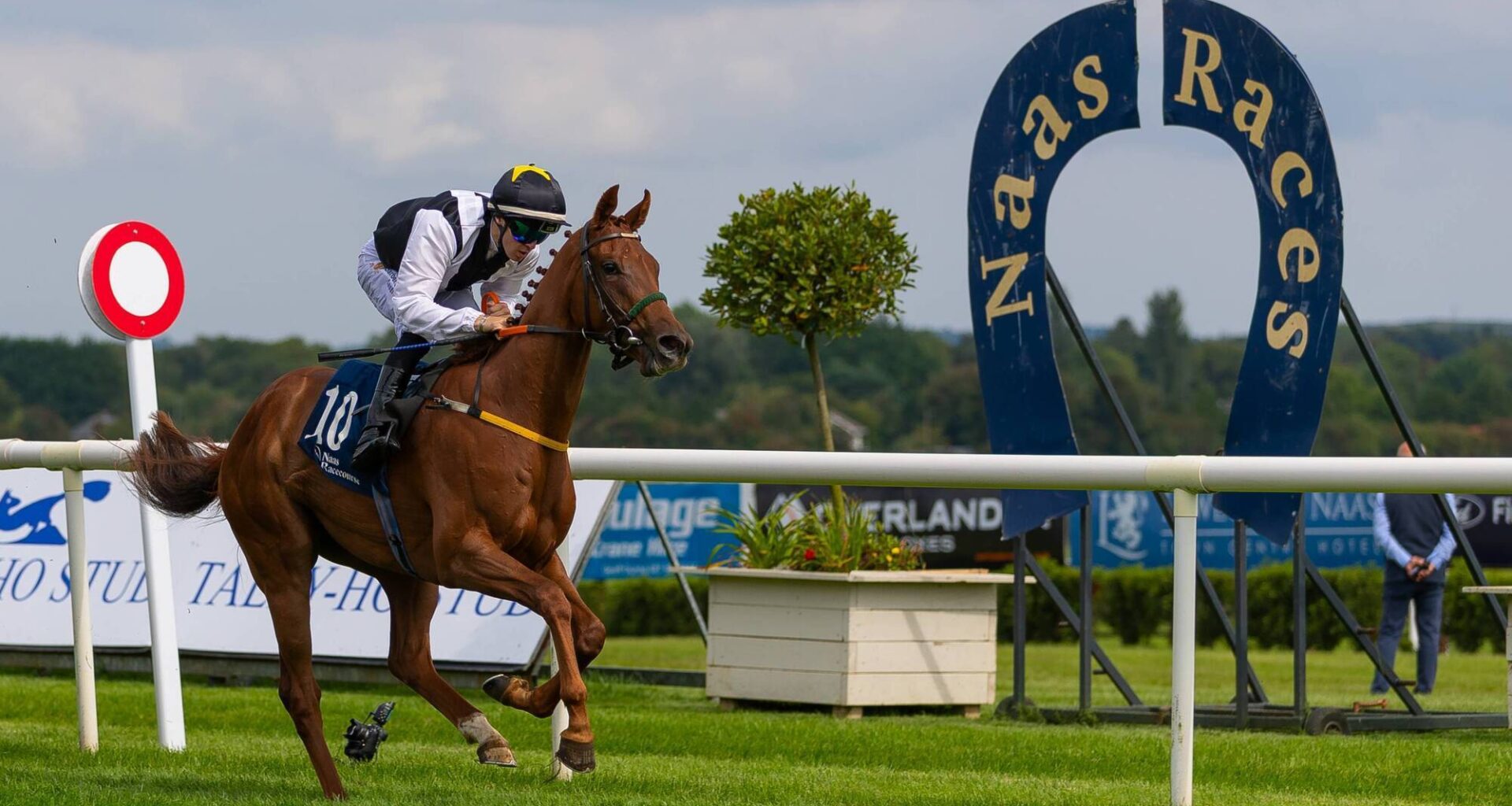 Naas Racecourse: Preview and Tips for Saturday’s Seven-Race Card - News