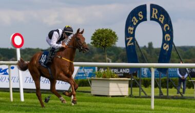 Naas Racecourse: Preview and Tips for Saturday’s Seven-Race Card - News