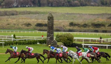 The Jumps Are Back! Preview and tips for Punchestown Tuesday's race card - News