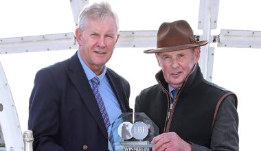 Venusienne and Cousin Kate impress at tremedous Tramore Races - Racing