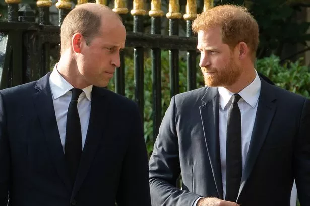 Prince William and Prince Harry