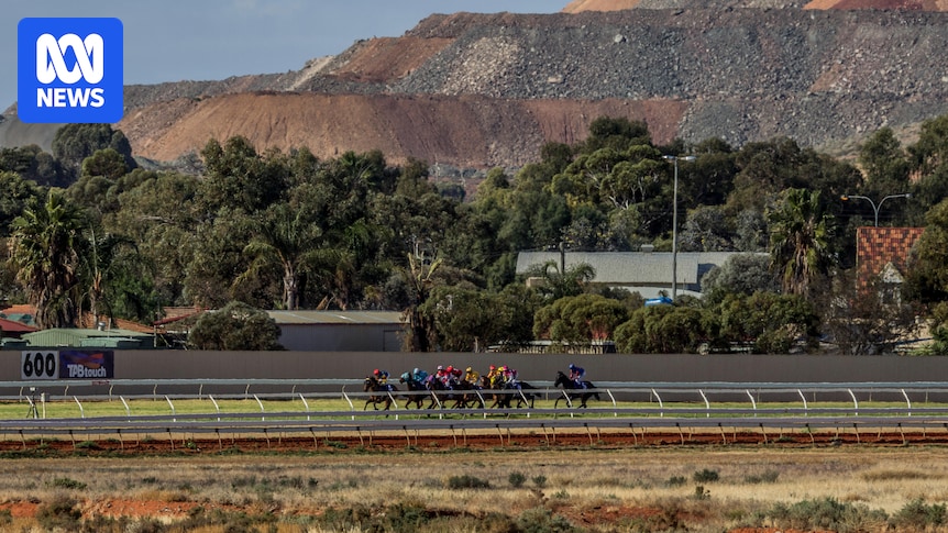 Veteran Kalgoorlie trainer weighs in on this weekend's $1 million Golden Saddle