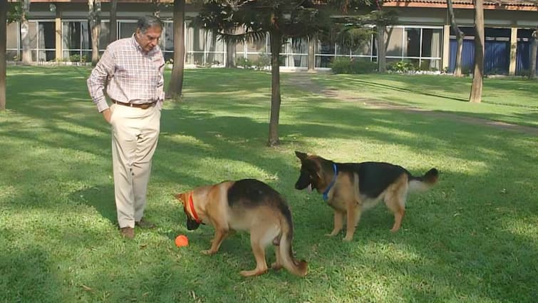 Ratan Tata Pet Dog King Charles British Royal Honour Reject When Ratan Tata Chose His Dog Over British Royal Honour, & Earned King Charles