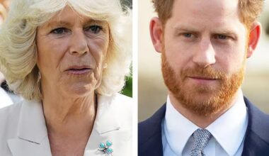 Queen Camilla Will 'Never Forgive' Prince Harry And Is Still 'Livid' Over What He Wrote In 'Spare' Amid His Reconciliation Attempts, Sources Say: 'It's Too Late'