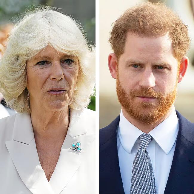 Queen Camilla Will 'Never Forgive' Prince Harry And Is Still 'Livid' Over What He Wrote In 'Spare' Amid His Reconciliation Attempts, Sources Say: 'It's Too Late'