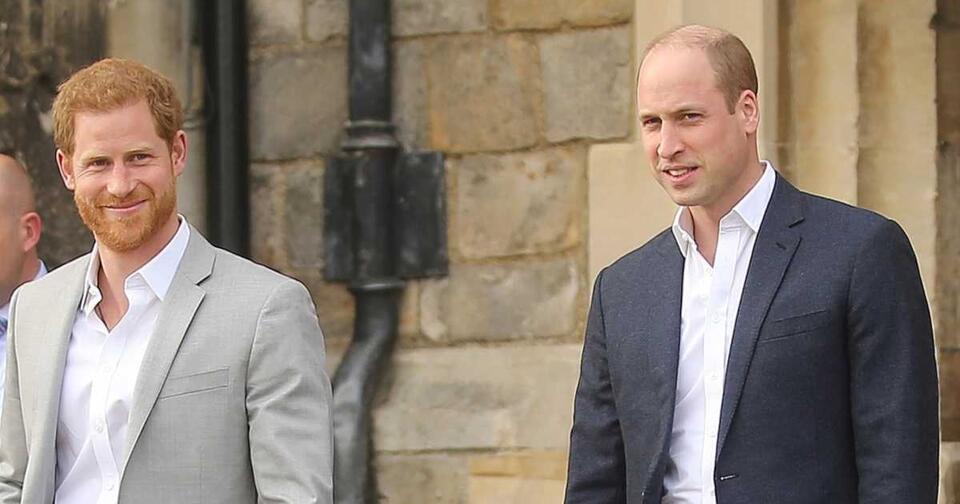 Sweet Throwback, Sad Truth! The Hidden Heartbreak Behind William & Harry’s Viral Video