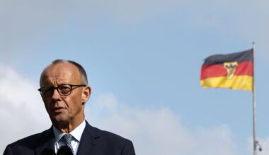 Merz's Germany: Inexperience, coalition crisis, growing AfD threat