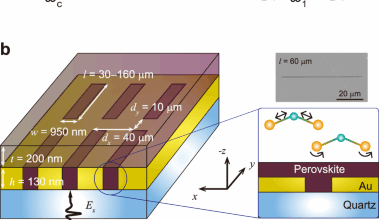 Multimode phonon-polaritons in lead-halide perovskites in the ultrastrong coupling regime
