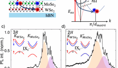 Polarons shape the interlayer exciton emission of MoSe2/WSe2 heterobilayers