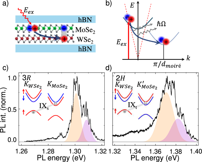 Polarons shape the interlayer exciton emission of MoSe2/WSe2 heterobilayers