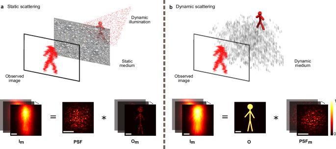 Matrix-based imaging through dynamic scattering