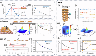 A universal entropic pulling force caused by binding