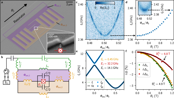 Spin environment of a superconducting qubit in high magnetic fields