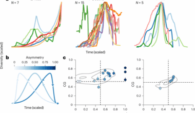Loss of macroevolutionary species fitness explains the rise and fall of clades