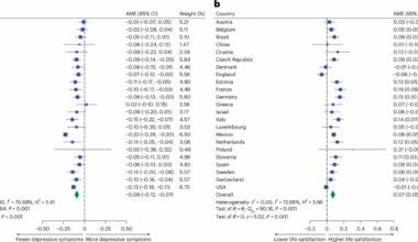 Positive association between Internet use and mental health among adults aged ≥50 years in 23 countries
