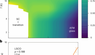 Impact of low-energy spin fluctuations on the strange metal in a cuprate superconductor