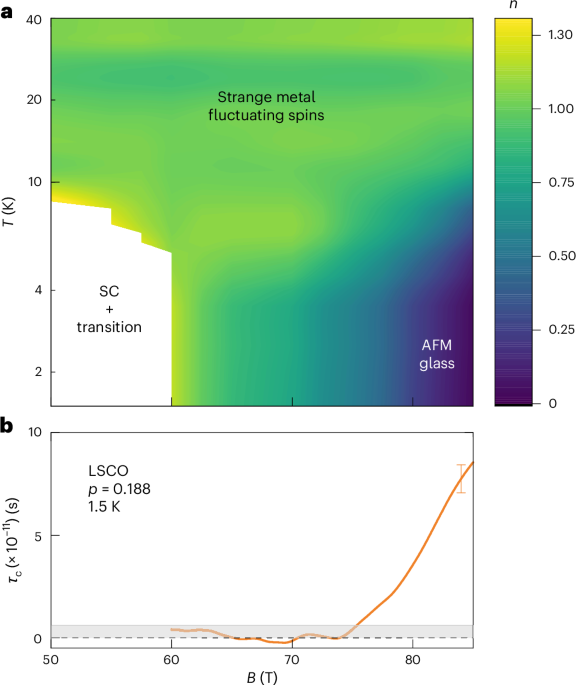 Impact of low-energy spin fluctuations on the strange metal in a cuprate superconductor
