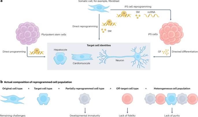 Redefining cellular reprogramming with advanced genomic technologies