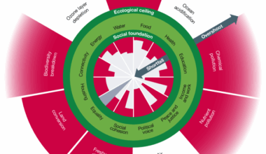 Doughnut of social and planetary boundaries monitors a world out of balance