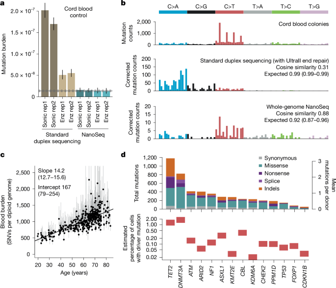 Somatic mutation and selection at population scale
