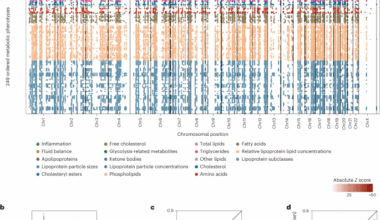 A genetic map of human metabolism across the allele frequency spectrum