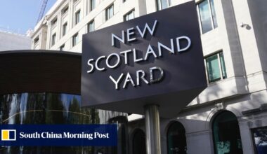 London police arrest asylum seeker sex offender who was mistakenly freed
