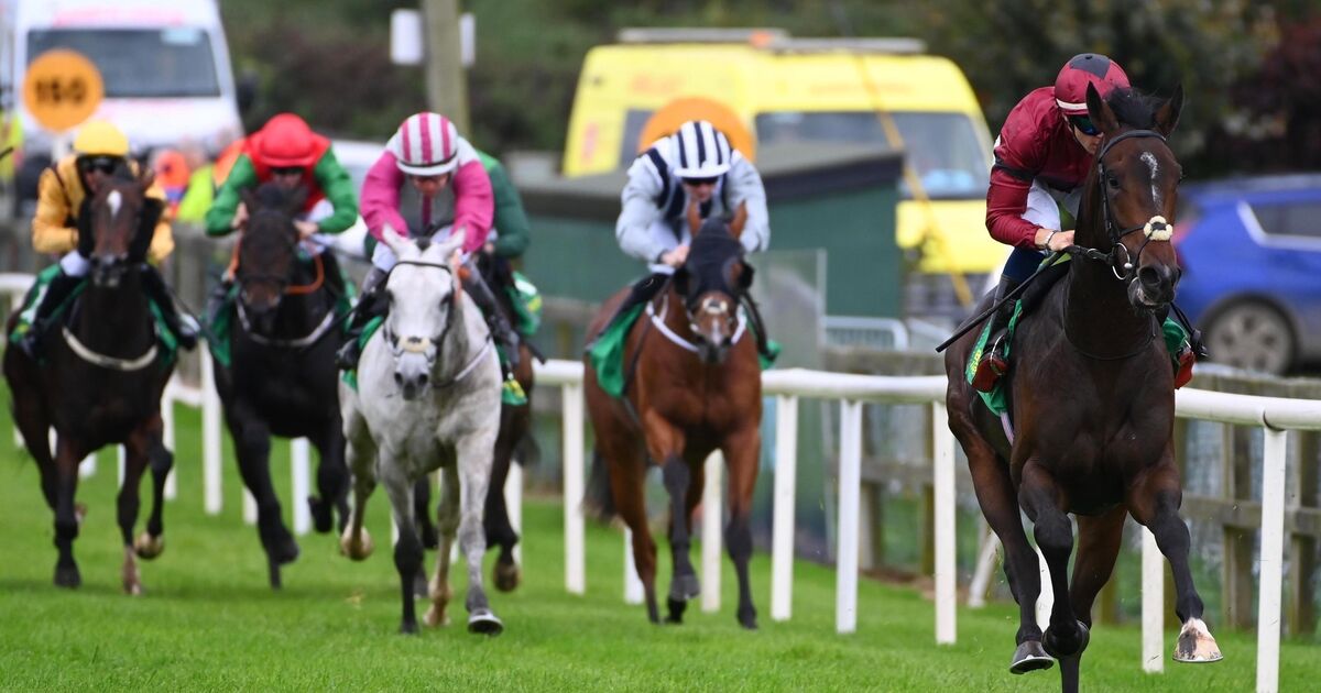 Bellewstown treble stretches Dylan Browne McMonagle's title race advantage