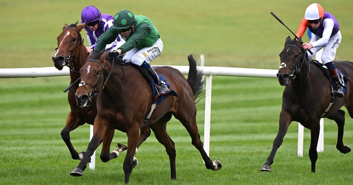 Green Carrera maintains Browne McMonagle's title momentum 