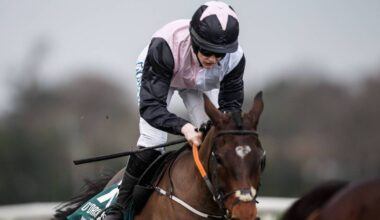 De Bromhead's Heart Wood primed for winning return in Punchestown feature