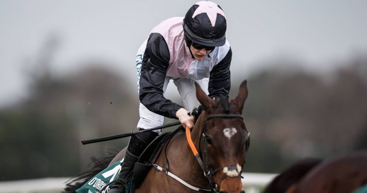 De Bromhead's Heart Wood primed for winning return in Punchestown feature