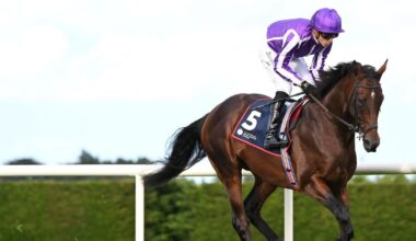 Delacroix to begin life at stud as racing career ends