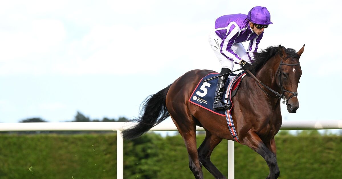 Delacroix to begin life at stud as racing career ends