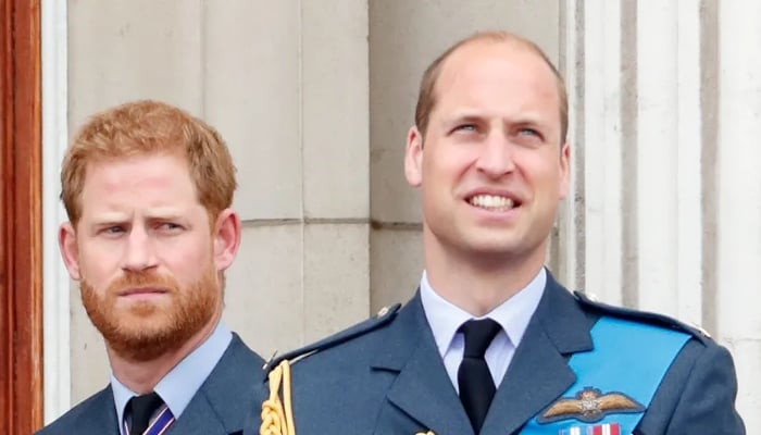 Prince William, Harrys rivalry rooted in surprising childhood incident