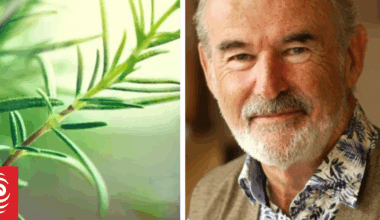 Simon Mills: Herbal remedies in mainstream healthcare