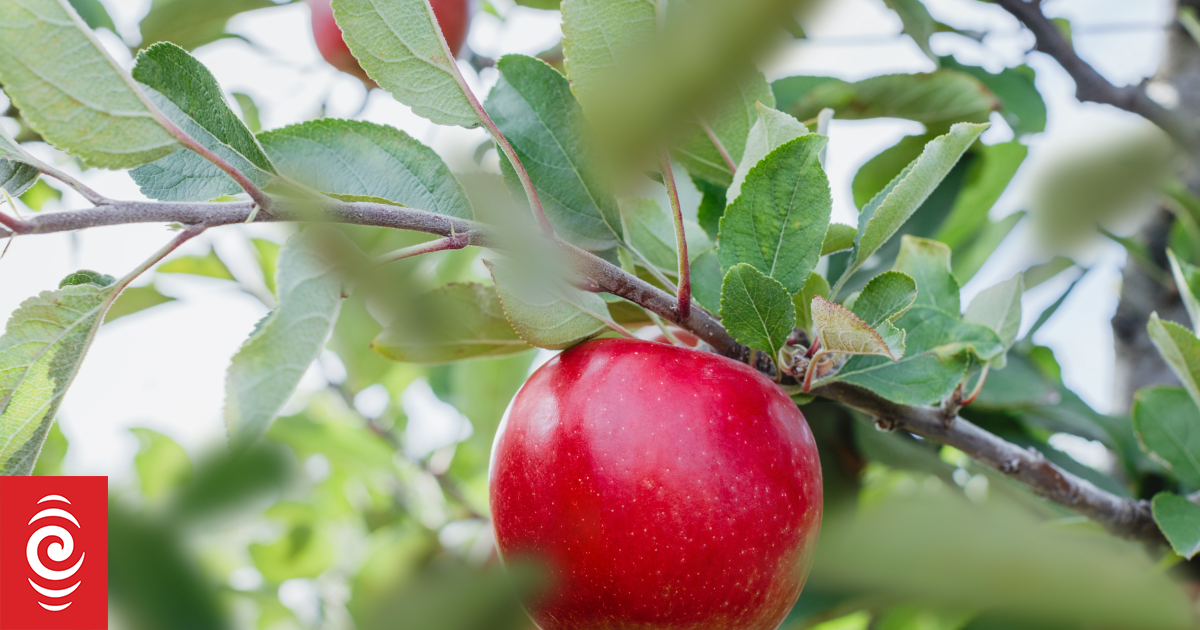 Regional jobs no easy fix for Jobseeker benefit squeeze