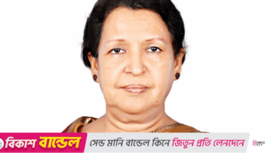 Simpler regulations needed to ignite startups