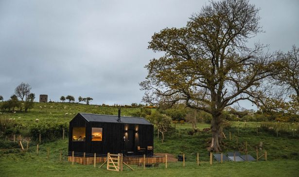 Castor cabin in the countryside