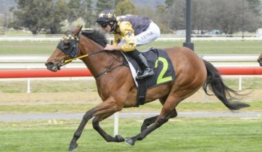Bathurst, Taree preview: Austin chasing a double delight