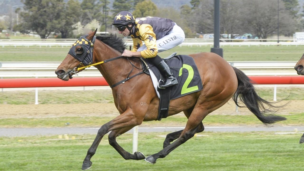Bathurst, Taree preview: Austin chasing a double delight