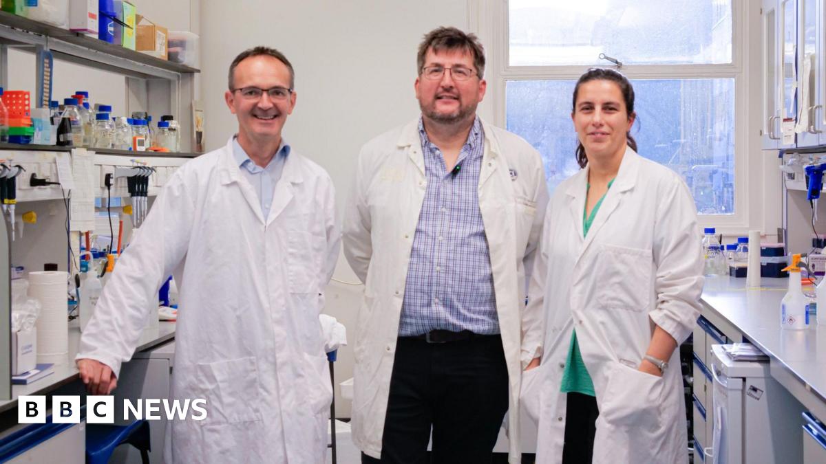 Three scientists, two men and a woman, stand in a laboratory wearing white lab coats. On either side of them are white surfaces, shelves and cupboards. There is a window behind them.