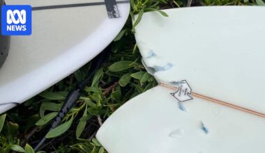 Kangaroo Island visitor details 'extraordinary moment of timing' family came across shark attack