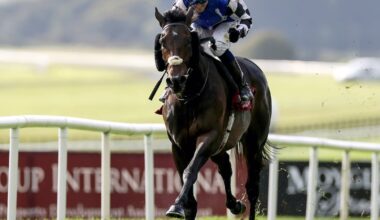 Browne McMonagle replaced by Mark Zahra on Melbourne Cup favourite Al Riffa – The Irish Times