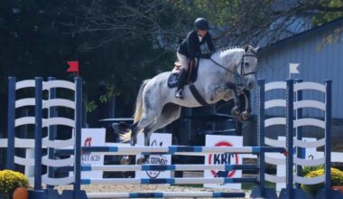 Thoroughbred Makeover Diary: Pride, Gratitude, and Inspiration Make for a Great Event