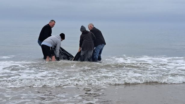 The fish sadly re-stranded deceased